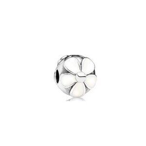 Pandora Charm